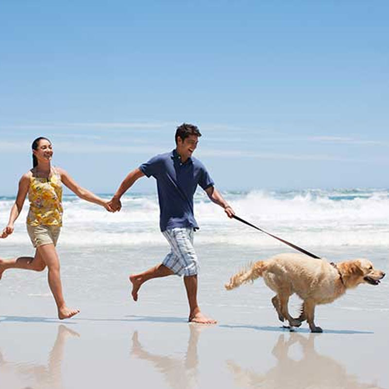 family running on beach