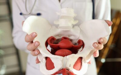Unraveling the Mysteries of Pelvic Congestion Syndrome: A Modern Perspective