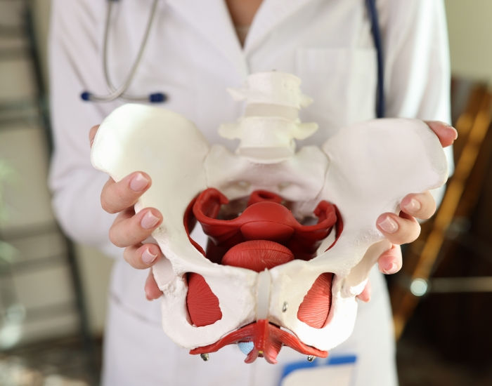 Unraveling the Mysteries of Pelvic Congestion Syndrome: A Modern Perspective